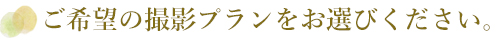 ご希望の撮影プランをお選びください。