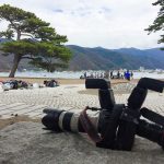 修学旅行がピークです