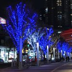 今年もいよいよ終わりに近づいてきました！